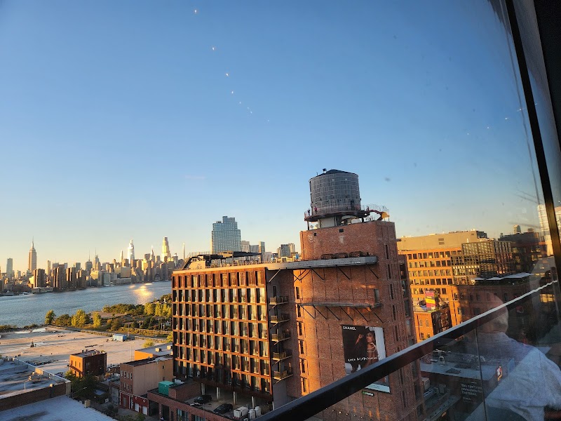 Laser Wolf Brooklyn